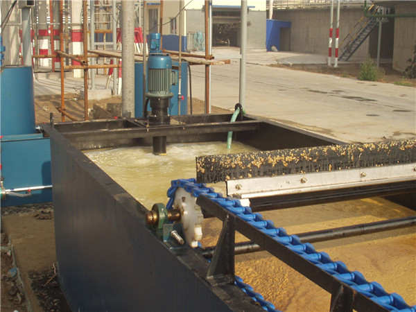 1745370730869643.jpg yte.jpg